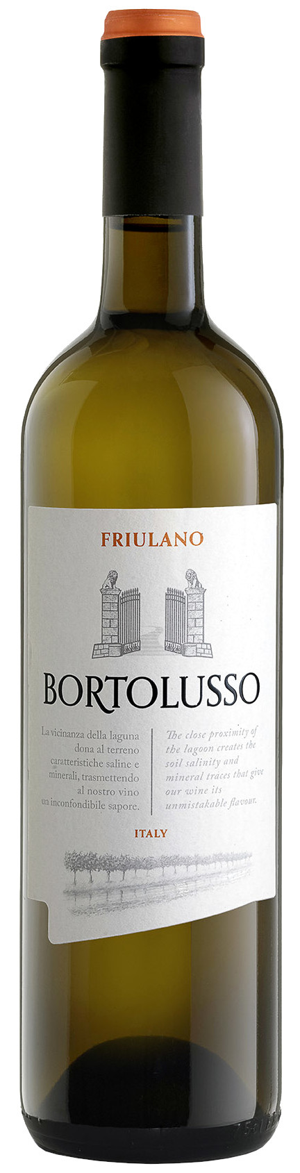 Vini Bortolusso DOC Friuli Friulano 2024                    