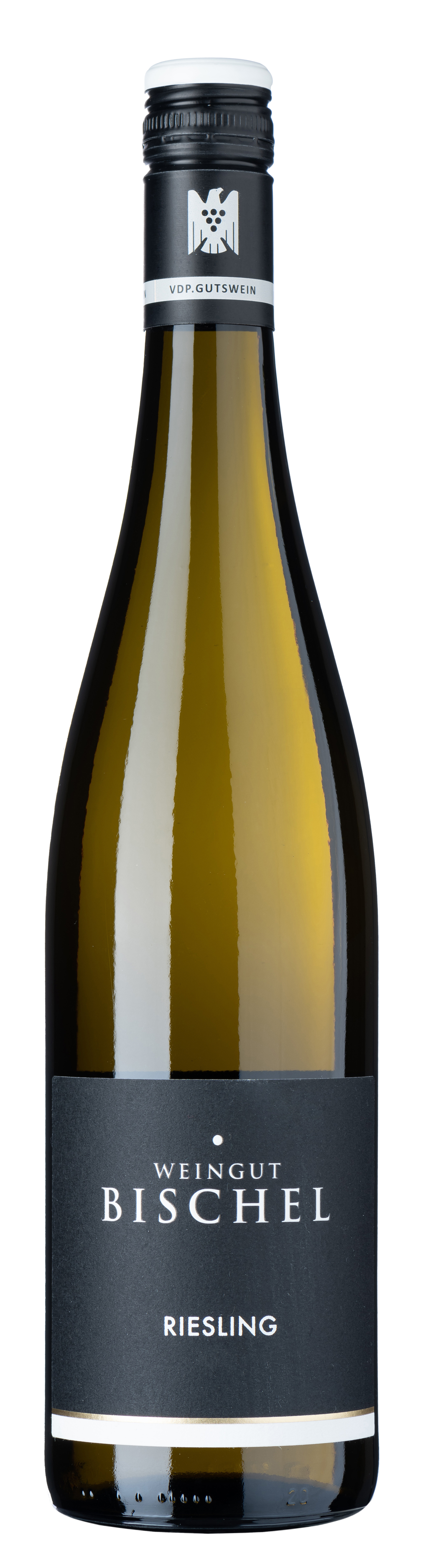 Weingut Bischel Riesling trocken 2024                       