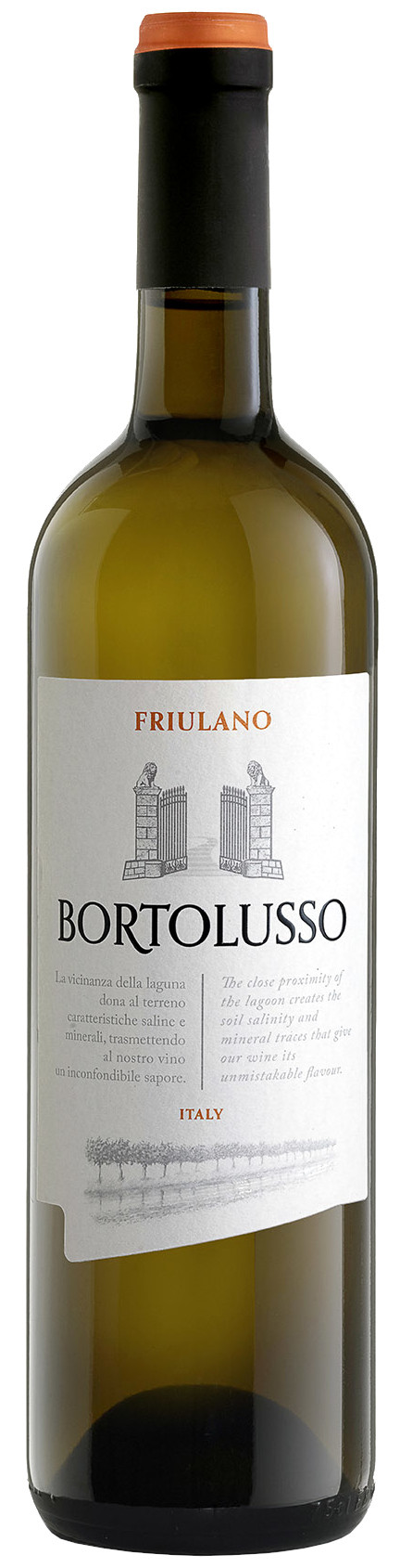 Vini Bortolusso DOC Friuli Friulano 2023                    
