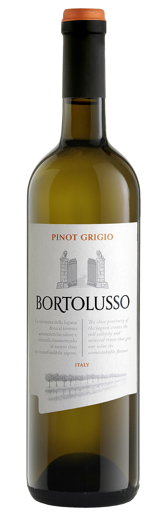 Bortolusso Pinot Grigio 2023                                